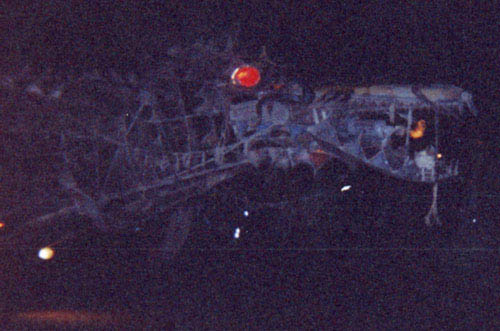 dragon