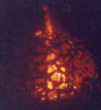 sphereburn2